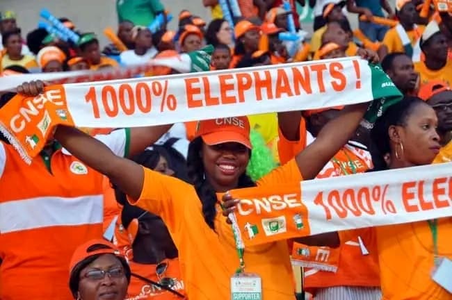 Côte d'Ivoire : Jean-Louis Gasset nommé entraîneur des éléphants
