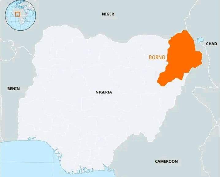 Nigéria : Attaque d'un kamikaze contre l'armée dans le Nord-Est, versions divergentes sur le bilan