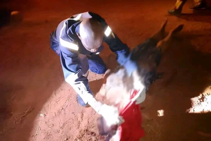 Côte d'Ivoire : Une femme tuée après la chute d'un motocycliste sur l’axe Daloa-Man