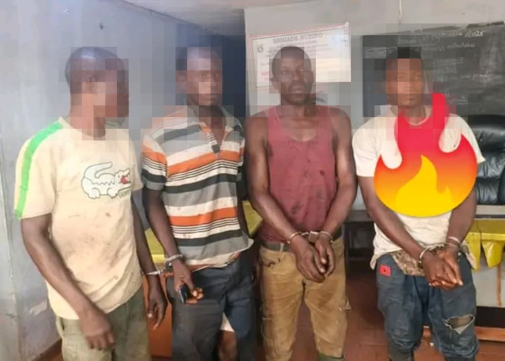 Côte d'Ivoire : Quatre individus pris en flagrant délit de défrichement mis aux arrêts