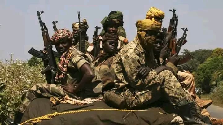 Centrafrique : Un avion a atterri à Goya, offrant des armes et munitions à la CPC