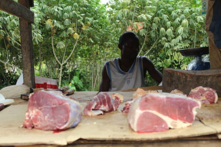Gambie : Un boucher mis aux arrêts après avoir été surpris avec de la viande de chien qu’il s’apprêtait à vendre
