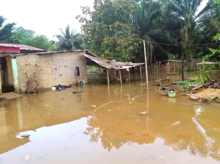 Côte d'Ivoire : Alépé, plusieurs maisons inondées
