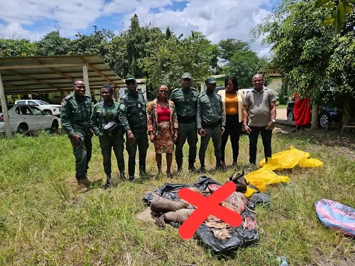 Côte d'Ivoire : Une cargaison de produits de chasse interceptée et incinérée à Adzopé