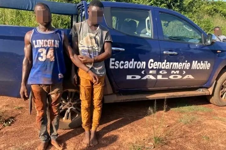 Côte d'Ivoire : Daloa, deux bandits arrêtés avec des armes de guerre