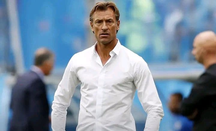Côte d'Ivoire : La FIF fait appel à Hervé Renard pour relancer les Éléphants dans la compétition