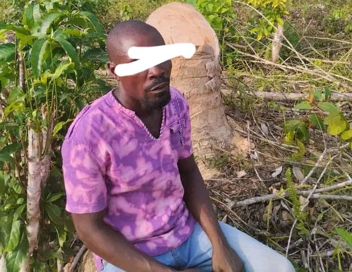 Côte d'Ivoire : Des frères impliqués dans la vente de parcelles en forêt classée appréhendés