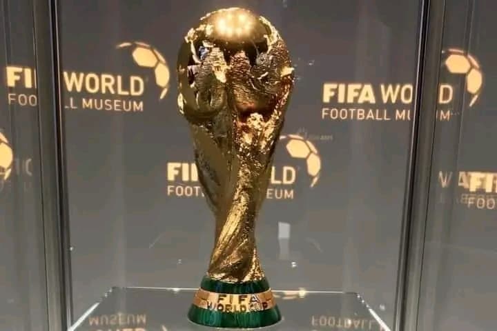 Cameroun : Joseph-Antoine Bell opposé à Gianni Infantino: « La Côte d’Ivoire n'est pas en mesure d'organiser la Coupe du Monde 2038...»