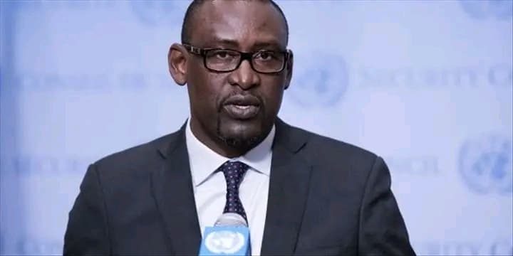 Mali : Bamako saisit l’ONU et accuse la France de fournir renseignements et armes aux terroristes