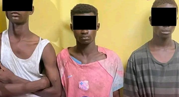 Côte d'Ivoire : En plein vol, 03 cambrioleurs mis aux arrêts à Abobo