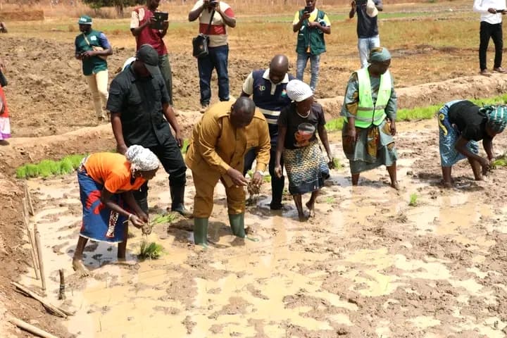 Côte d'Ivoire : 2 PAU-CI à Korhogo, le ministre Adjoumani remet d'importants kits agricoles aux riziculteurs du Poro