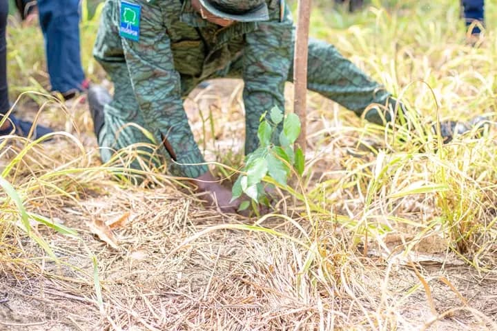 Côte d'Ivoire : Yodé et Siro plaident pour la protection de la forêt classée d'Audouin
