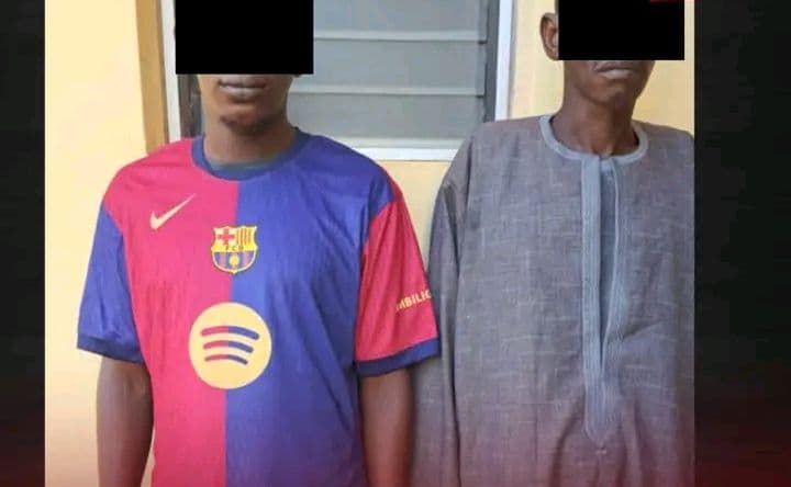 Côte d'Ivoire : Korhogo, ils volent douze bœufs et sont mis aux arrêts par la BRI