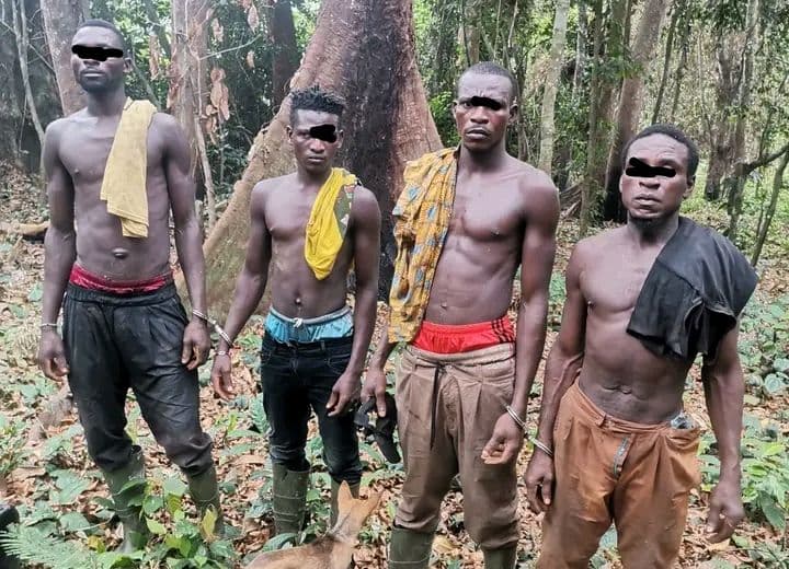 Côte d'Ivoire : La SODEFOR met aux arrêts 4 délinquants en forêt classée de Tamin
