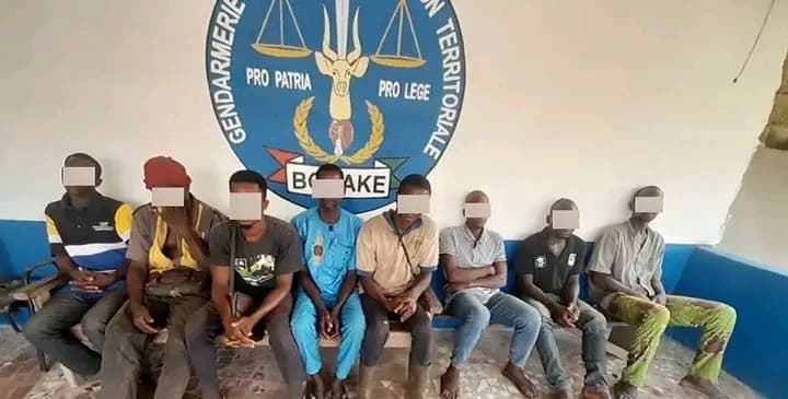 Côte d'Ivoire : Sakassou, des individus volent un bœuf d'un bouvier et tuent ce dernier
