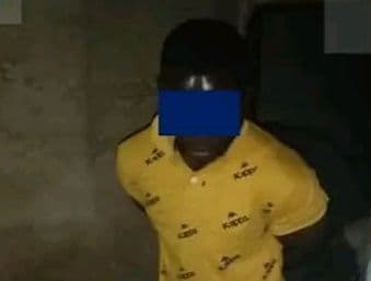 Côte d'Ivoire : 766 kg de cannabis et 2500000f saisis à Port-Bouët