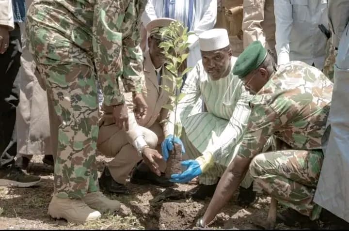 Mali : Lancement de la 31e campagne nationale de reboisement contre la désertification au pays