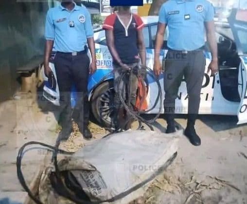 Côte d'Ivoire : Treichville, un voleur de câbles de téléphone interpellé