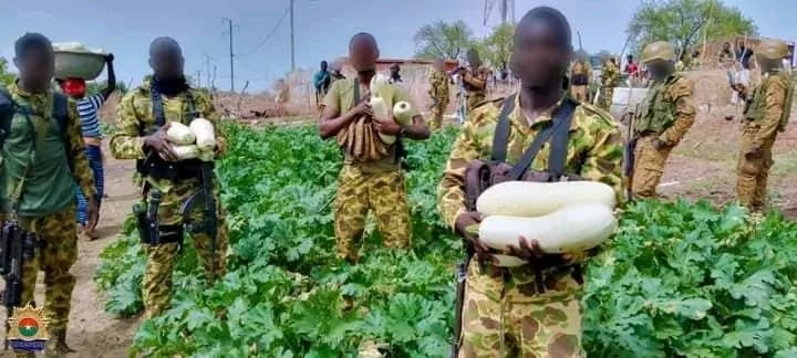 Burkina Faso : Toeni, les gendarmes réalisent un jardin potager pour renforcer la résilience des femmes