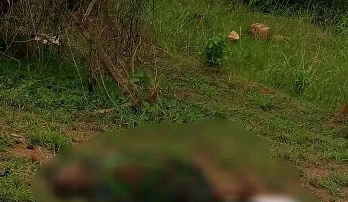 Côte d'Ivoire : Un chauffeur percute à mort un enfant sur l'autoroute du Nord, s'enfuit et est arrêté au péage d'Attinguié