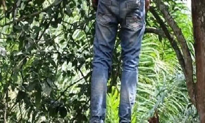 Côte d’Ivoire : Nassian, un homme retrouvé pendu à un arbre