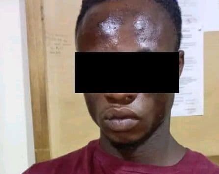 Côte d'Ivoire : Daloa, surpris en plein vol de poulet, il tue son collègue pour effacer son forfait