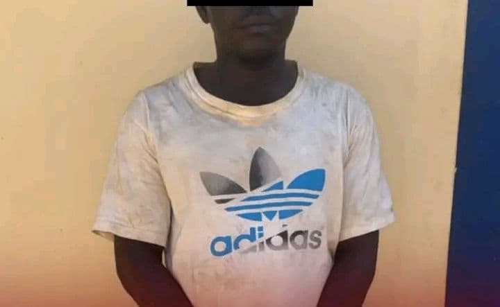 Côte d'Ivoire : Korogho, le faux bon samaritain de la gare mis aux arrêts