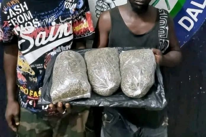 Côte d'Ivoire : Bouaflé, deux dealers arrêtés pour trafic et vente de drogue