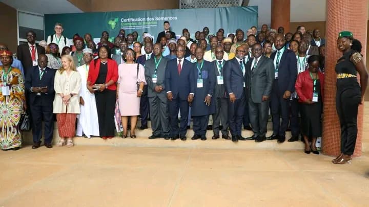 Côte d'Ivoire : Un dialogue politique et technique de haut niveau sur la certification des semences exemptes de maladies s'ouvre à Abidjan