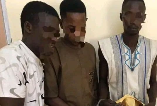 Côte d'Ivoire : Un gang de voleurs opérant dans trois villes démantelé