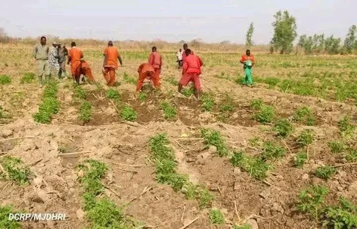 Burkina Faso : Vers l’autosuffisance alimentaire, 200 hectares aménagés à la prison agricole de Baporo