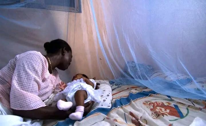Côte d'Ivoire : La lutte contre le paludisme au menu de "Tout savoir sur" ce mardi 23 avril 2024
