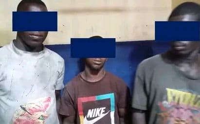 Côte d'Ivoire : Plateau, 03 individus interpellés pour vol de nuit en réunion de matériaux de construction