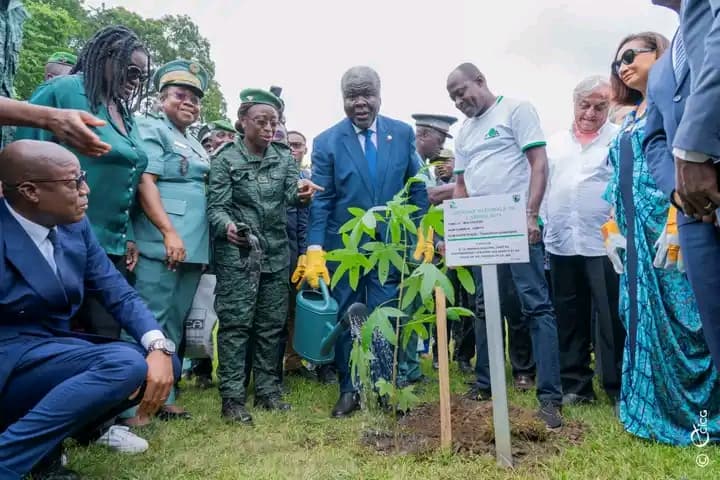 Côte d'Ivoire : Le PM Mambé appelle une action collective pour restaurer 20% du couvert forestier d'ici à 2030