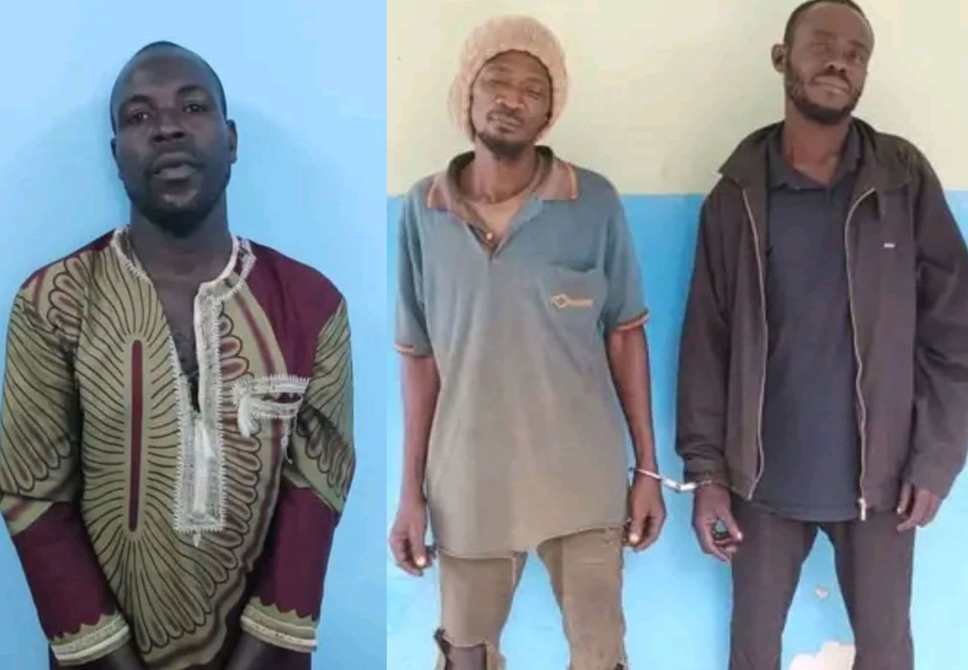 Côte d'Ivoire : Mis aux arrêts dans la forêt classée de gaga, 3 individus condamnés