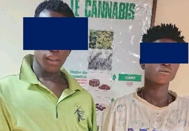 Côte d'Ivoire : Bouaké, deux individus interpellés à Minankro pour vente de drogue