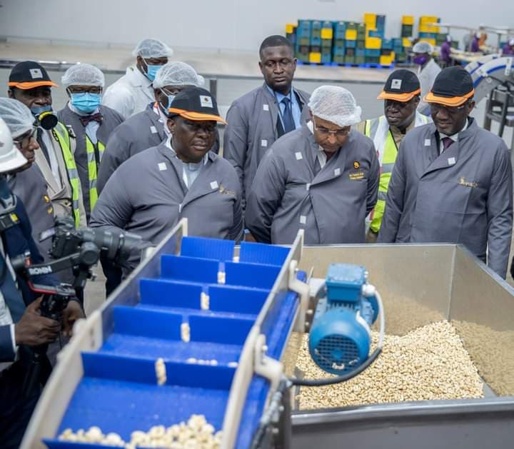 Côte d'Ivoire : Toumodi, l'usine de transformation de noix de cajou "Dorado Ivory" inaugurée par Patrick Achi
