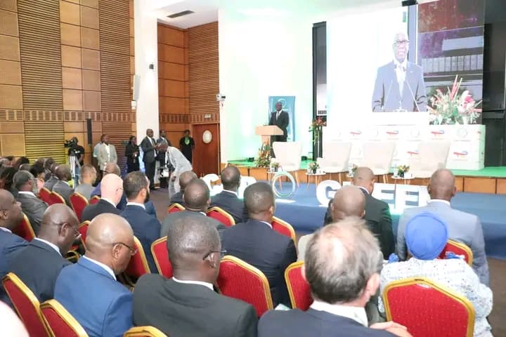 Côte d'Ivoire : Financement de la transition écologique, le ministre Assahoré sollicite l'implication du secteur privé