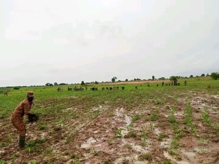 Burkina Faso : Les Volontaires pour la Défense de la Patrie armes et dabas pour l'autosuffisance alimentaire