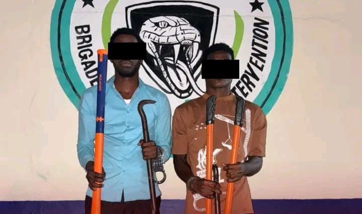 Côte d'Ivoire : Cocody, les "K…Brothers", rois du cambriolage mis aux arrêts