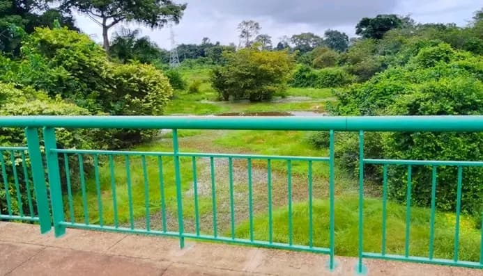 Côte d'Ivoire : Le corps sans vie d’un dépressif découvert à Koun-Fao