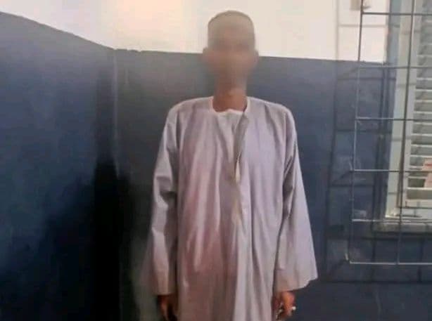Côte d'Ivoire : Badikaha, un voleur de boeufs appréhendé
