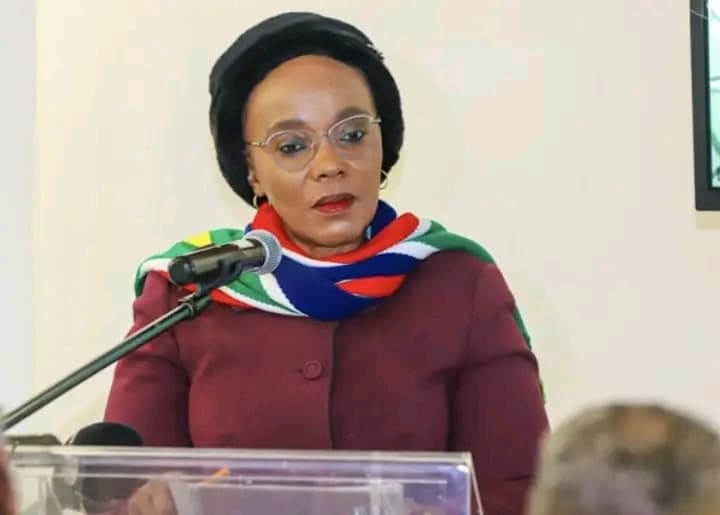 Afrique du Sud : Une ministre braquée, sa sécurité dépouillée de ses armes