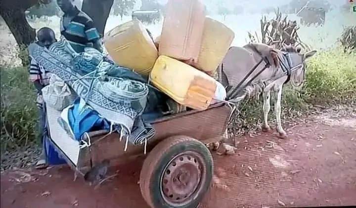 Burkina Faso : Koulpélogo, retour massif des populations déplacées dans leurs villages d'origine grâce aux VDP