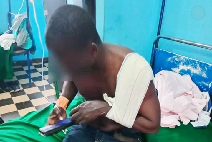 Côte d'Ivoire : Un porc surgit et blesse deux directeurs d'école