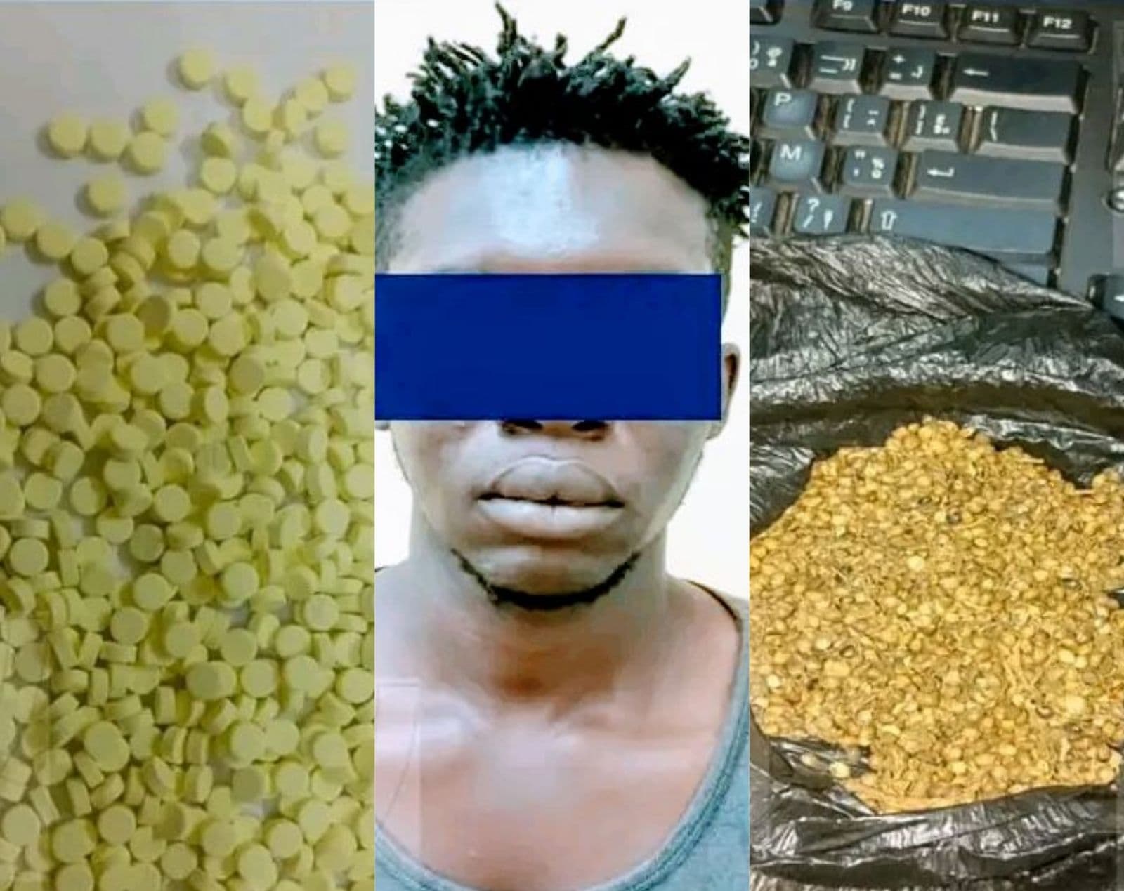 Côte d'Ivoire : Méagui, un individu interpellé en possession de substances psychotropes