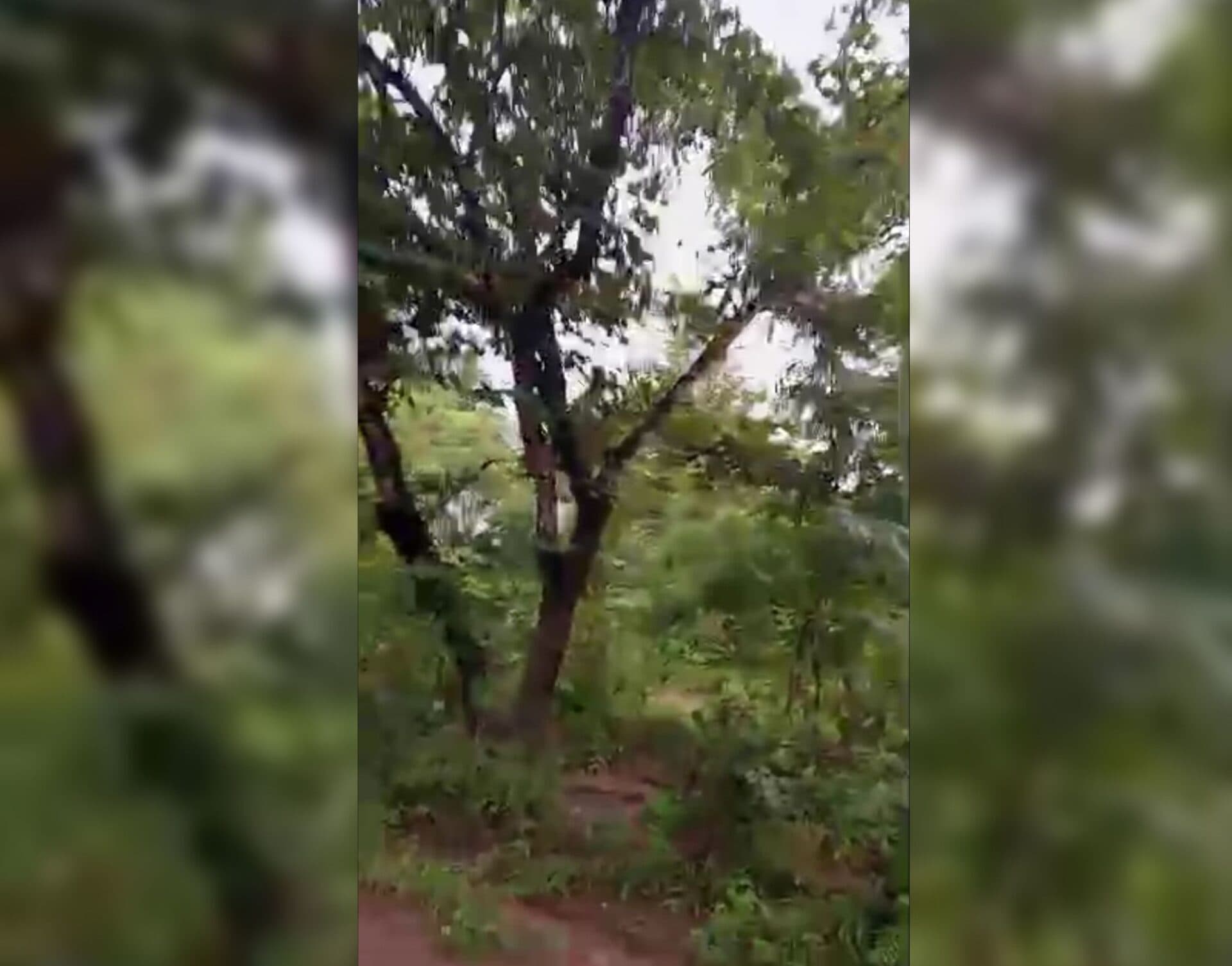 Côte d'Ivoire : Bouaké, un site de 100 ha en vente à 800 f/m2 (vidéo)