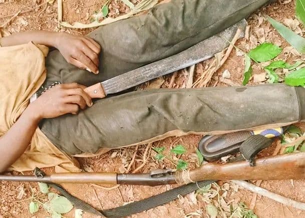 Côte d'Ivoire : Accusé de vol de porc, un jeune se suicide avec un fusil calibre 12