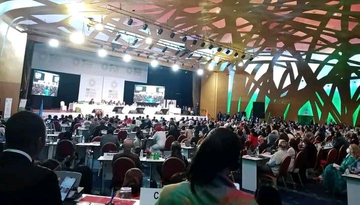 Côte d'Ivoire : Le sac de la rapporteuse générale de la COP15 contenant une forte somme d'argent et son ordinateur volé à Abidjan