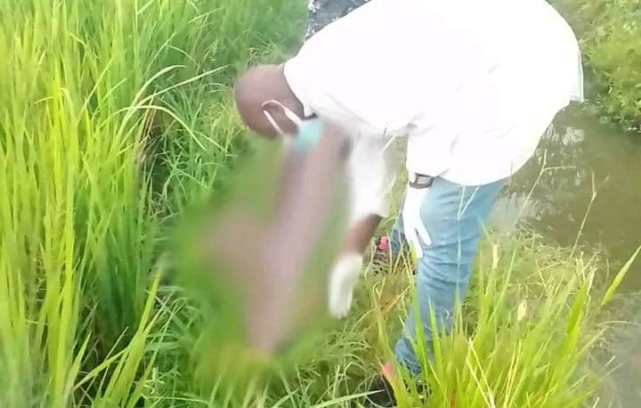 Côte d'Ivoire : Divo, le corps sans vie d'un enfant repêché du fleuve Boubo